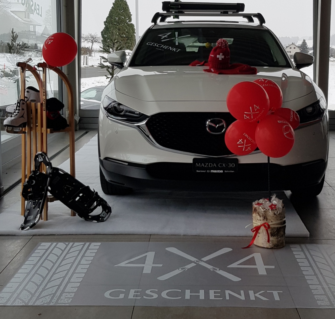 Garage Baeriswyl AG, Lanthen 191 in Schmitten