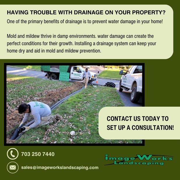 Images Image Works Landscaping