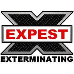 Expest Exterminating