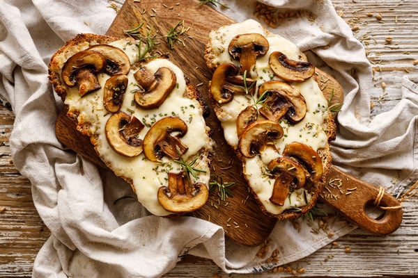 Catering mit Pilzen - piccolo amore arte culinaria - Catering & kulinarische Reisen nach Italien, italienische Sprachvermittlung