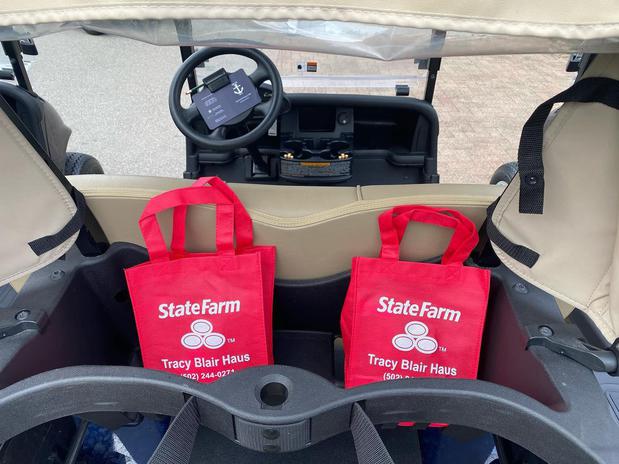 Images Tracy Haus - State Farm Insurance Agent