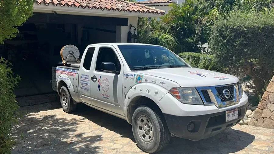 Images Fumigaciones Peninsulares