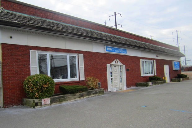 Images VCA Iselin Animal Hospital