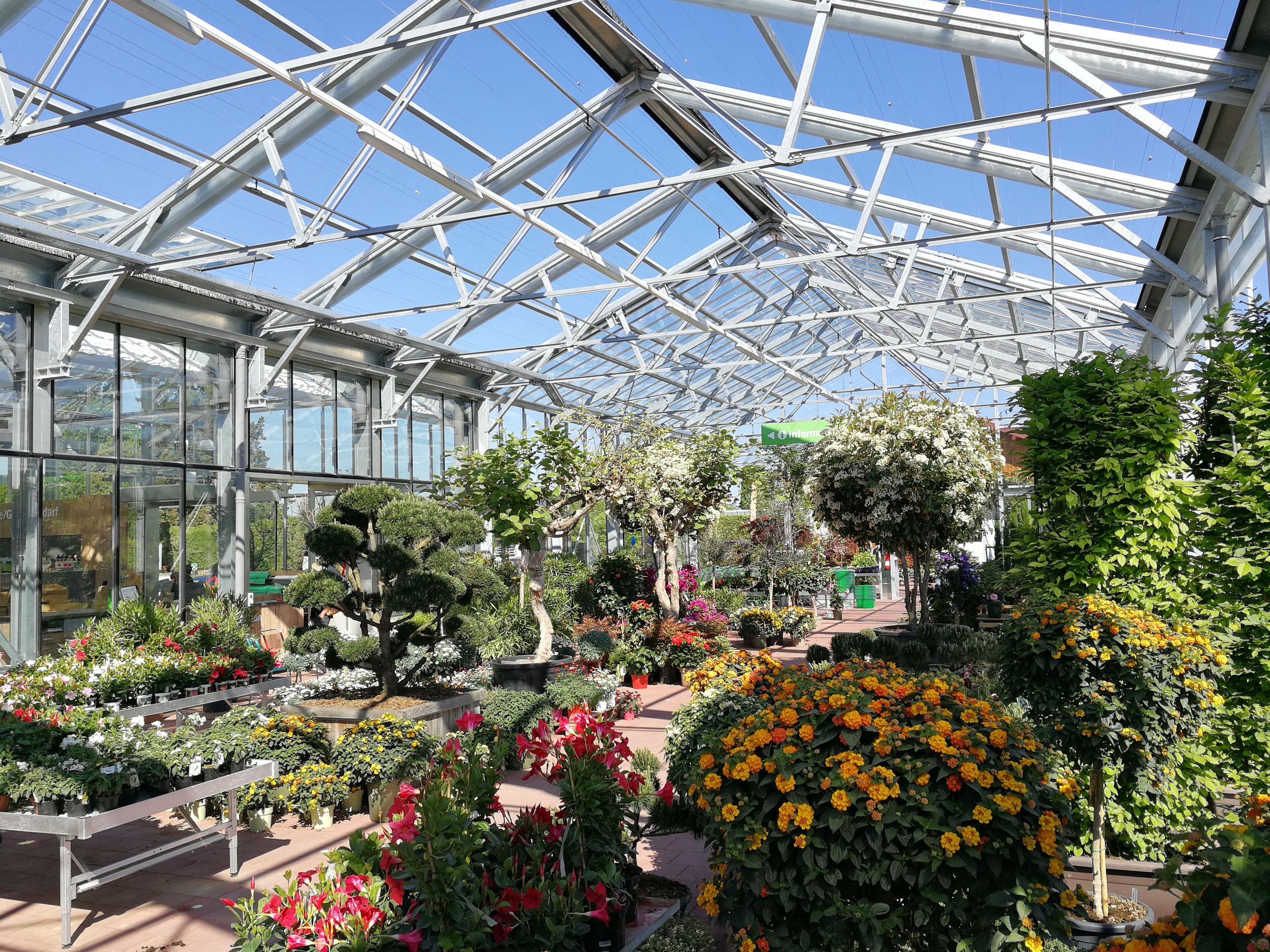 Daepp Gartenpflanzen, Bärenstutz 7 in Münsingen