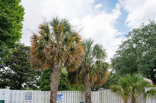 Images The Landing Townhomes