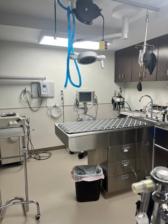 Images VCA Castle Shannon Animal Hospital