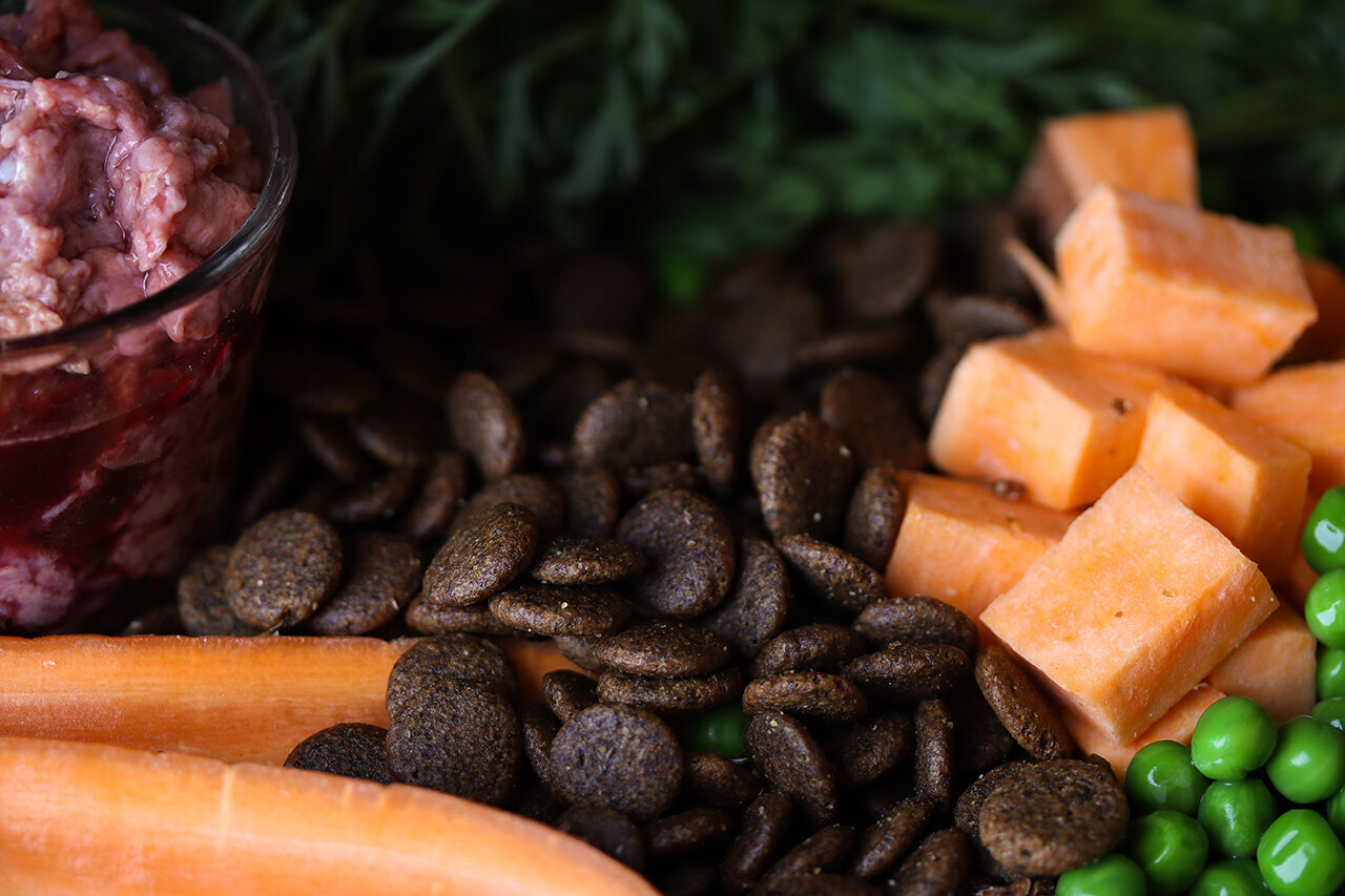 Bilder Green Pet Shop