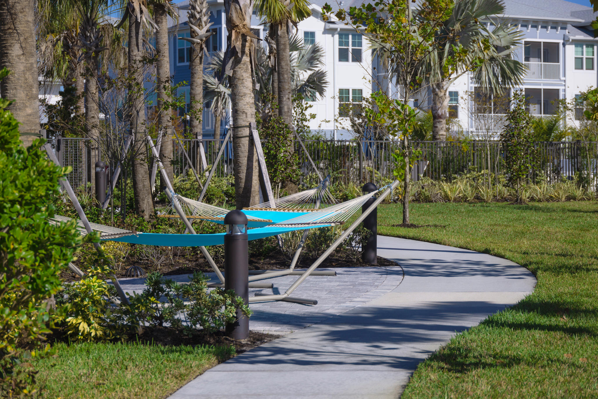 Hammock Area at The Gallery at Trinity Luxury Apartments in Trinity, FL