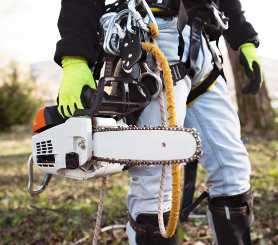 Images 5 Star Tree Service Inc.