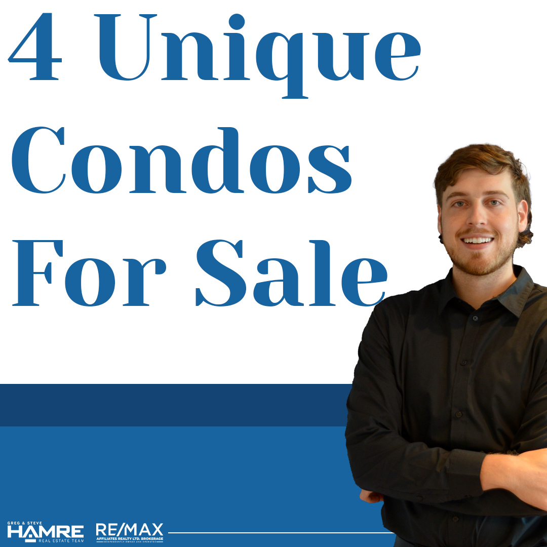 Images Leif Olson - Ottawa Real Estate Agent - Hamre Team RE/MAX Affiliates
