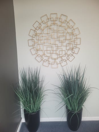 Images Evergreen Park Spine Injury Center