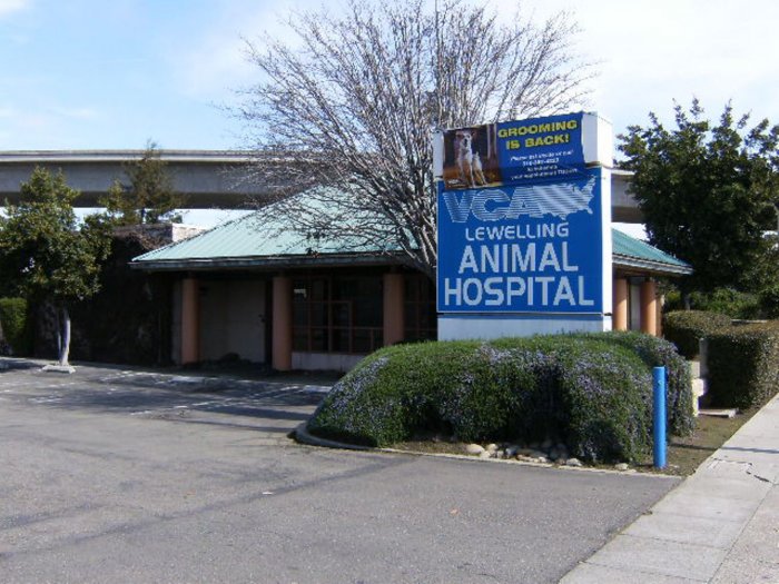 Images VCA Lewelling Animal Hospital