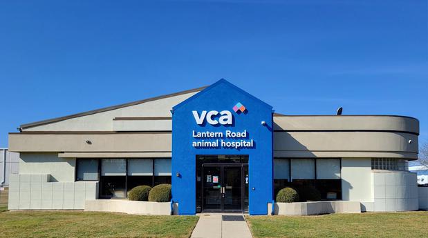 Images VCA Lantern Road Animal Hospital