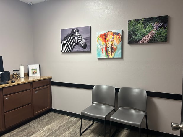 Images VCA Milliken Animal Hospital