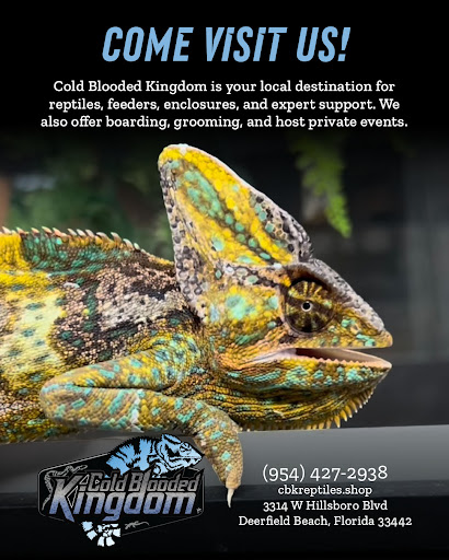 Images Cold Blooded Kingdom