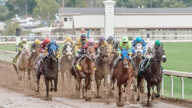 Images Holiday Inn & Suites Cincinnati-Eastgate (I-275E) by IHG