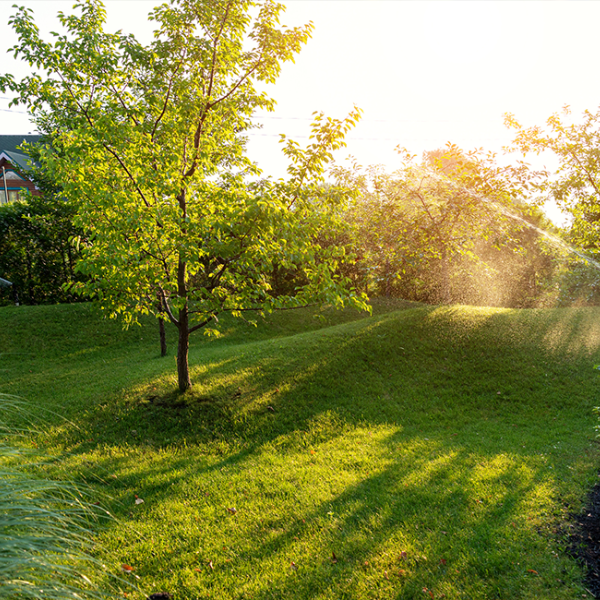 Images Gribskov Naturpleje