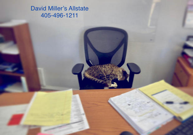 Images David Miller: Allstate Insurance