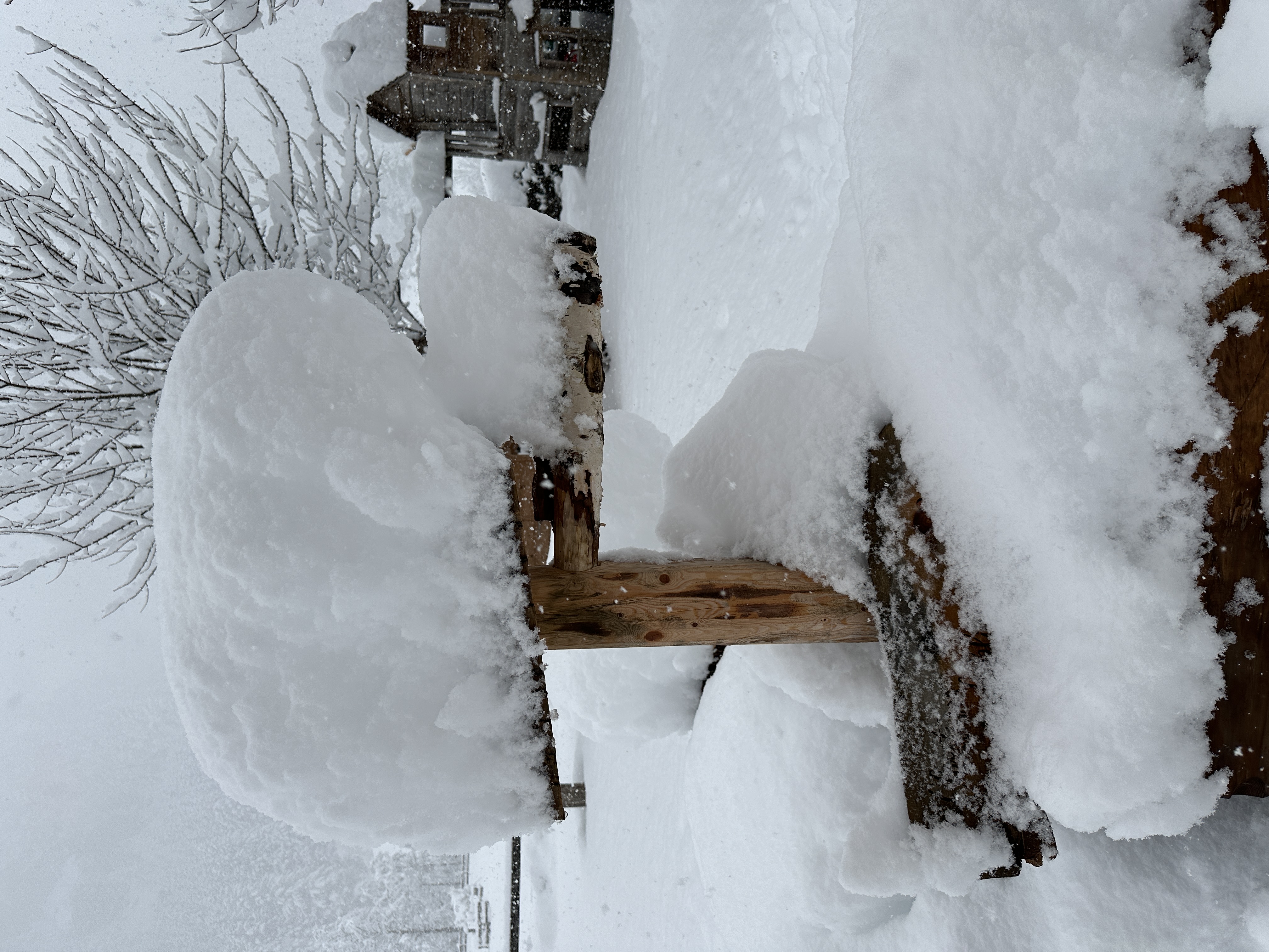 Bild 21 von Gasthaus Häusling Alm