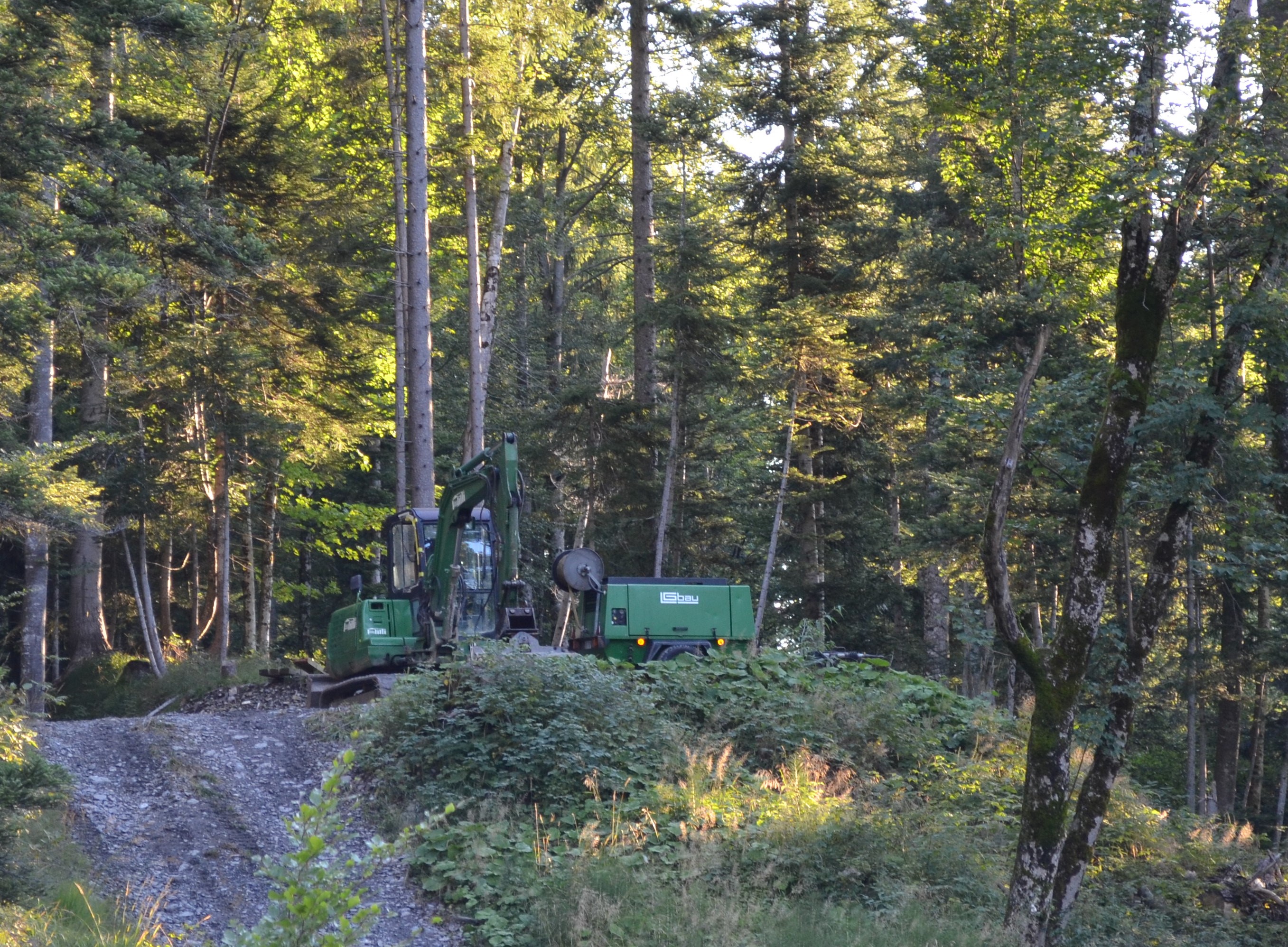 LG Bau AG, Sägeboden 1770 in Wildhaus