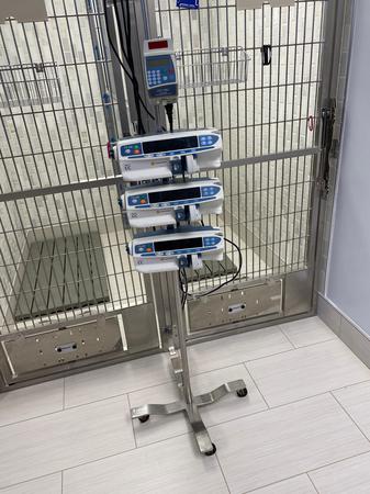 Images ARCHVET Emergency Hospital