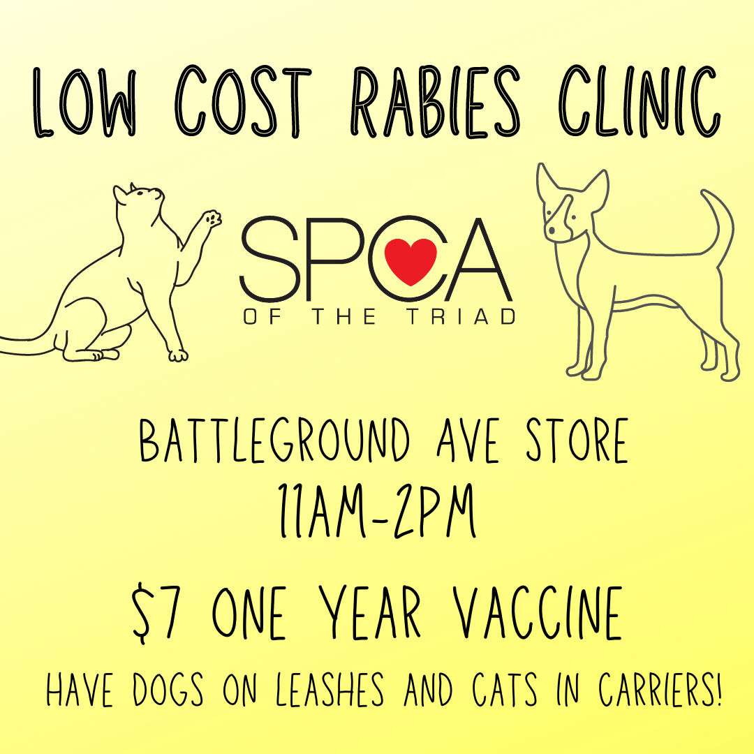 Spca rabies hot sale vaccine