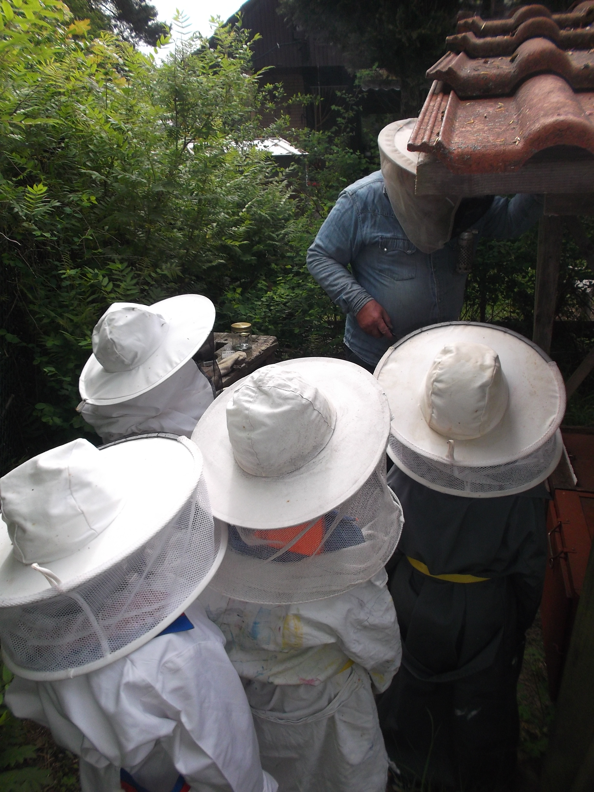 Bild 2 AWO Kita Apfelbäumchen in Berlin