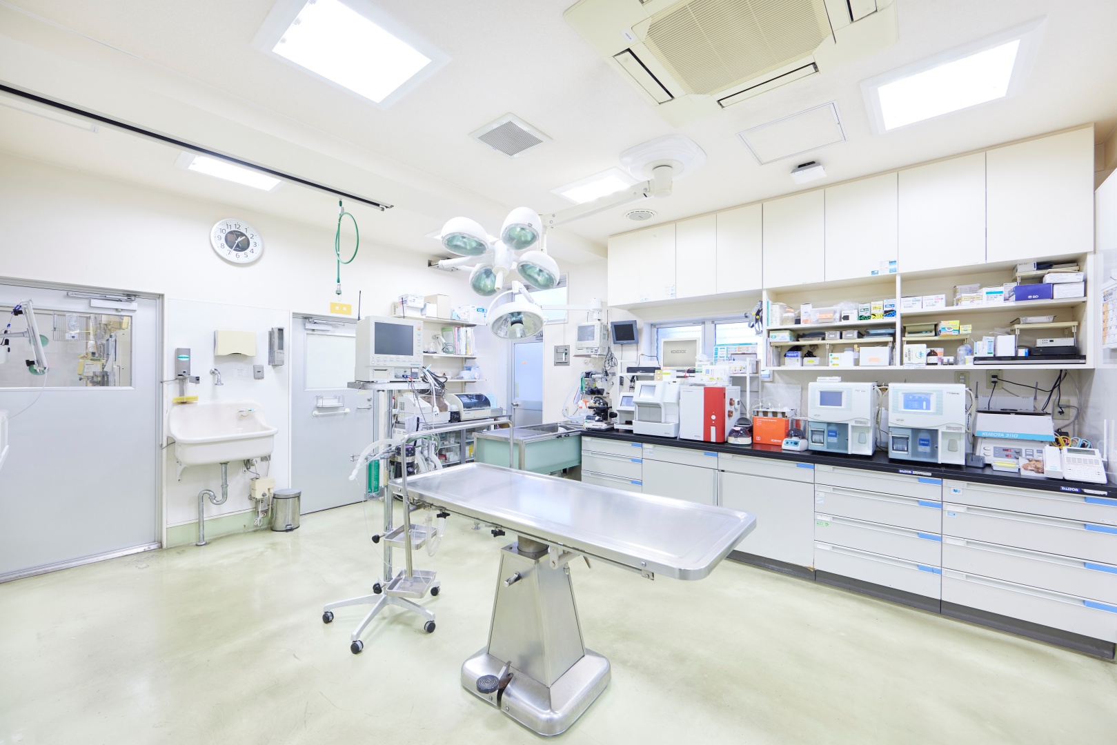 Images 江島動物病院 PAL動物病院グループ