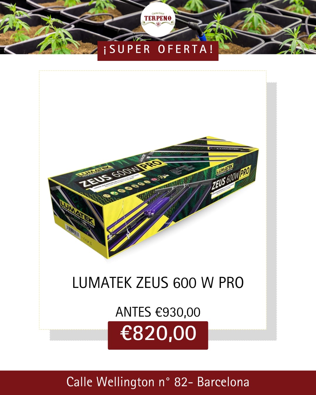 Images Grow Shop Terpeno