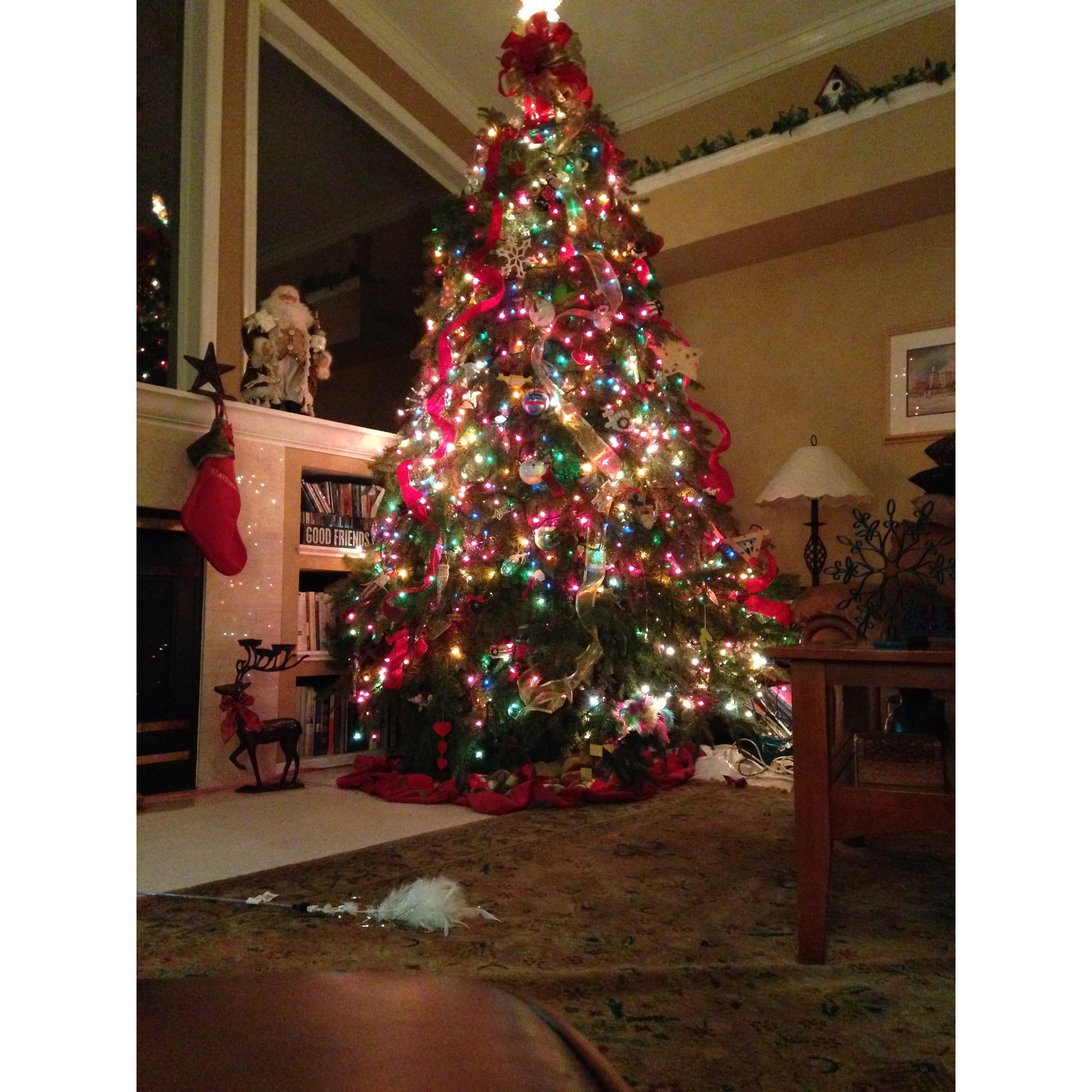 Dave's Christmas Tree Lot - Brandon, FL 33511 - (813)843-8182 | ShowMeLocal.com