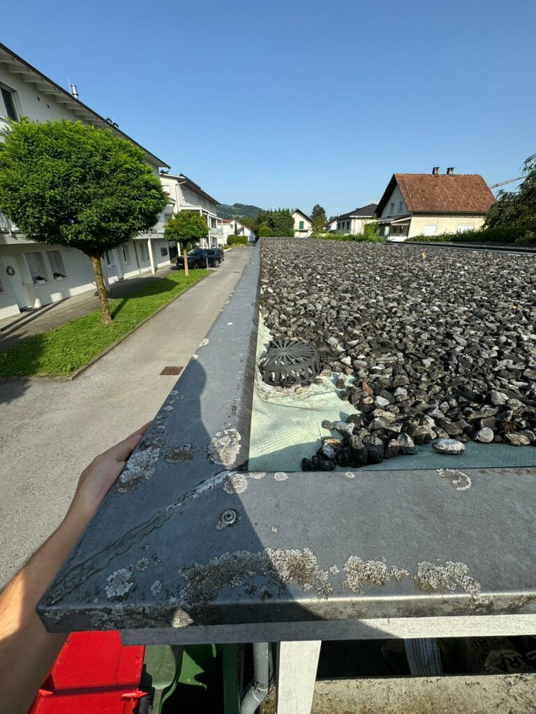 Bild 5 von DSM Bau GmbH