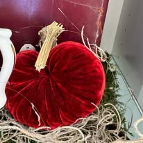 Images Clementines Boutique