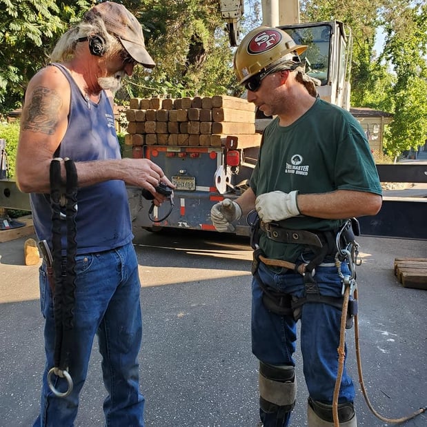 Images Am/Pm Tree Service, Inc.