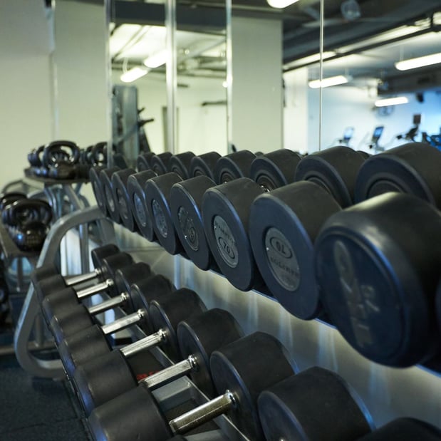 Images Trophy Fitness Mockingbird