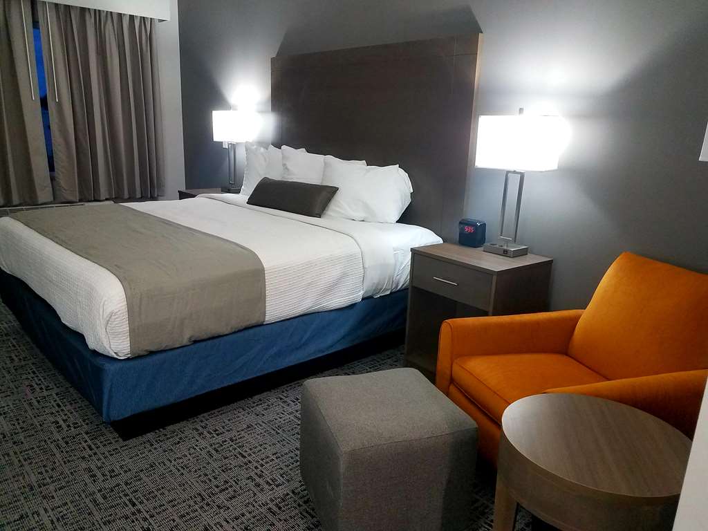Standard King Guest Room