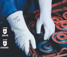 Lampl & Schreiber GmbH, Paschinger Strasse 62 in Leonding