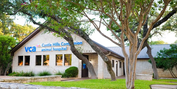 Images VCA Castle Hills Companion Animal Hospital