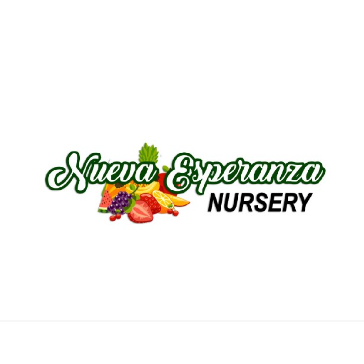 Nueva Esperanza Nursery
