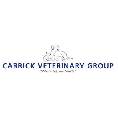 Carrick Veterinary Group - Barlborough Logo