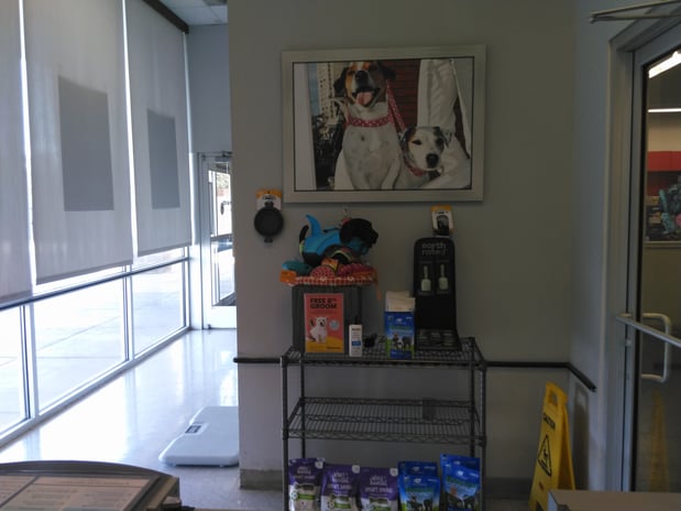 Images Petco Grooming