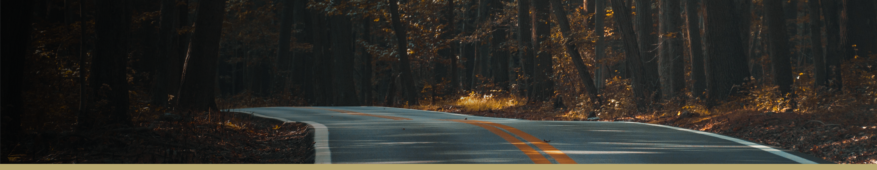 A country road in autumn weaving through a forest.