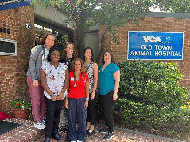 Images VCA Old Town Animal Hospital