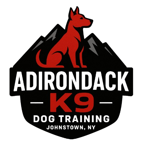 Adirondack K9 Logo