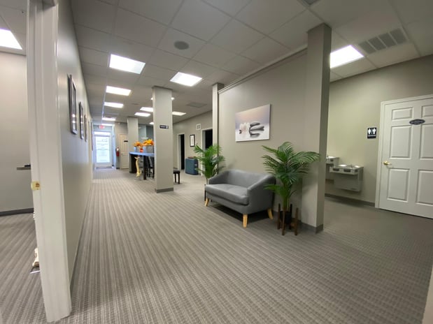 Images Pure Wellness Chiropractic