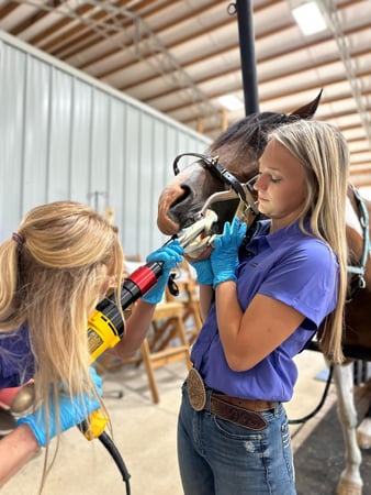 Images FULL CIRCLE EQUINE VETERINARY SERVICES