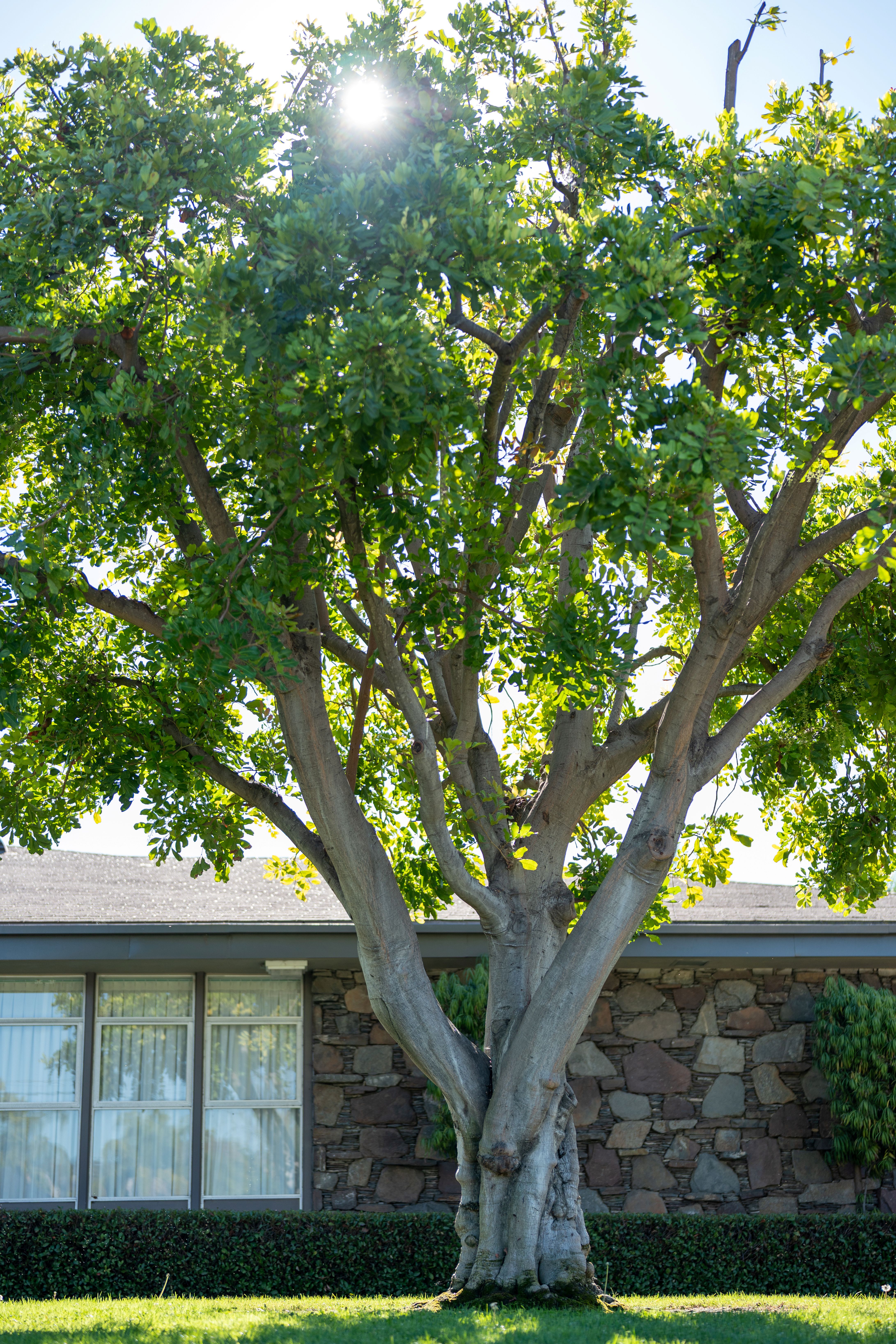 The Church of Jesus Christ of Latter-day Saints Image