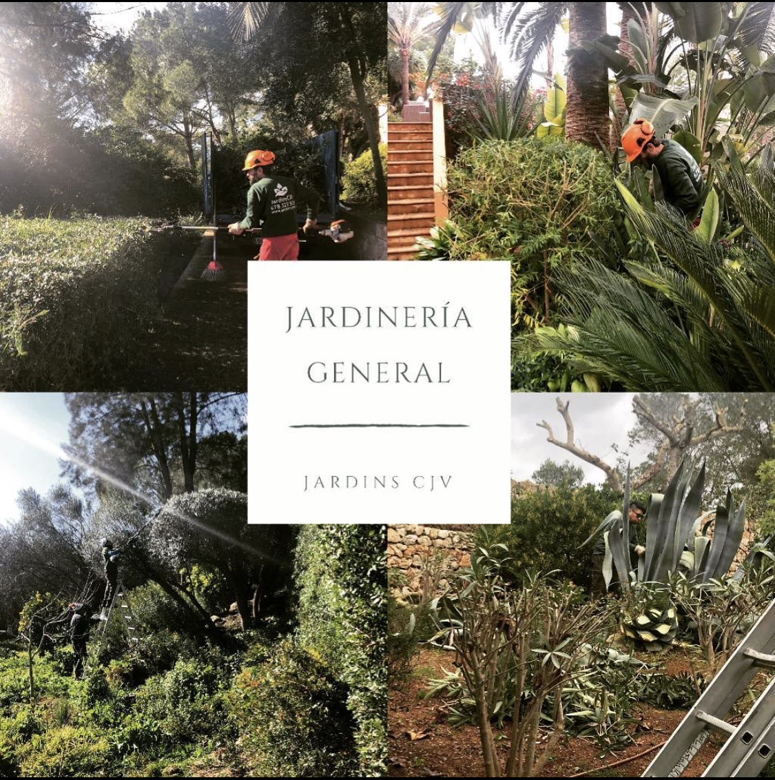 Images Jardins CJV