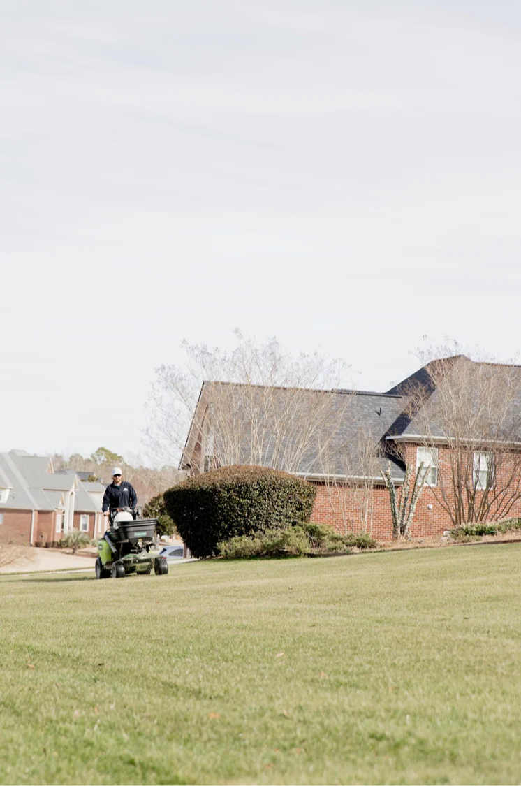 Matthews Turf Management Lawn treatment