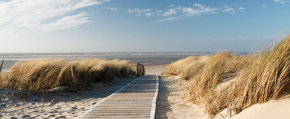 travel and more Reiseagentur Raubling, Rosenheimer Strasse 82 in Raubling