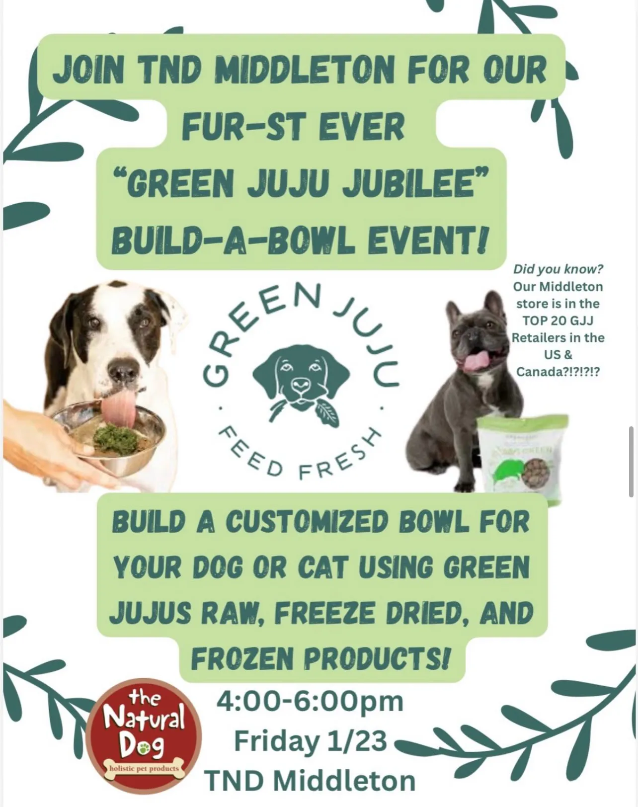 Image of Local Pet Event Green Juju Build A Bowl Nearby